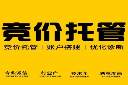SEM主管案例：广告创意与效果提升